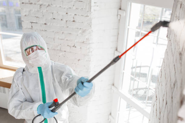 Best Comprehensive Air Testing for Mold Contaminants  in Minneapolis, MN