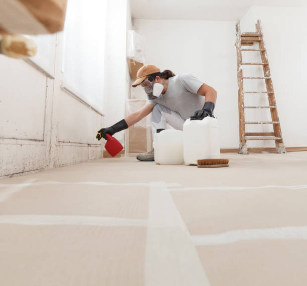 Best Airborne Mold Testing  in Minneapolis, MN